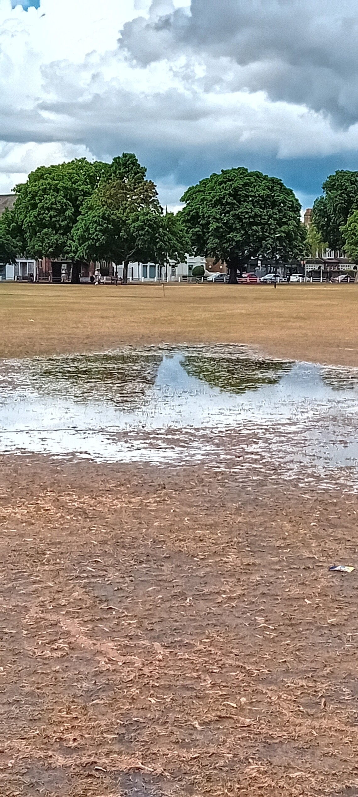 20250709_green_Water