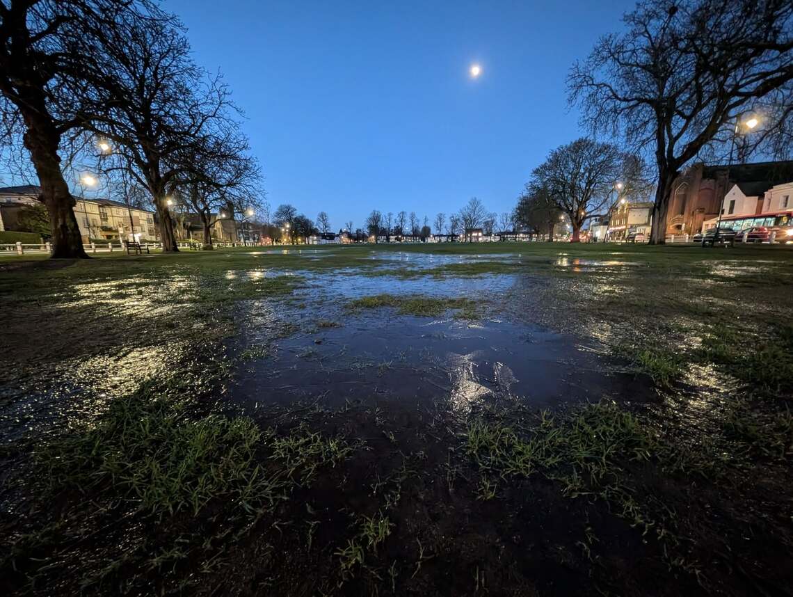 IcyGreenJanuary2026