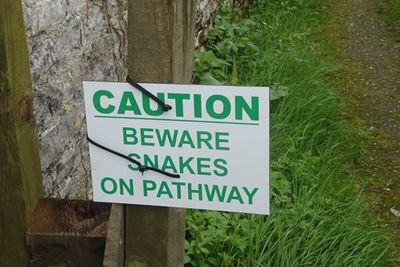 Snakes on the path