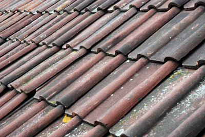 The Kitchen roof tiles.