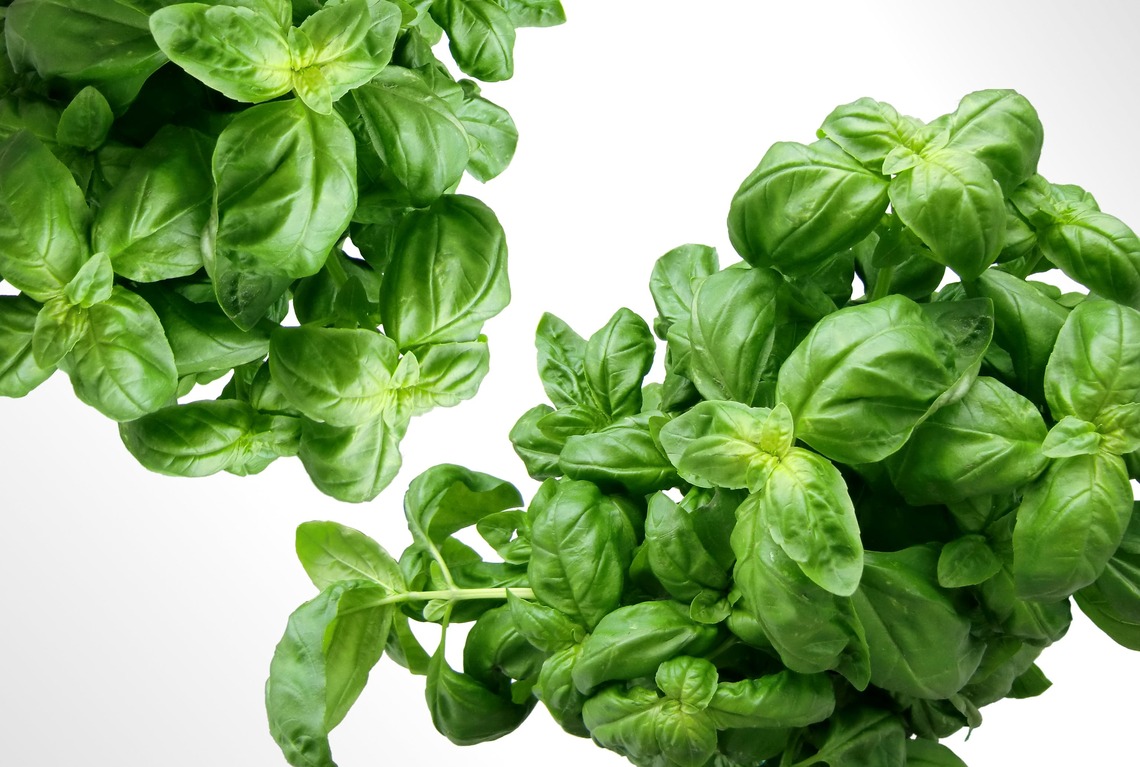basil leaves