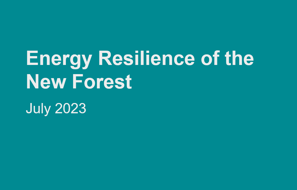 Energy resilience in the New Forest