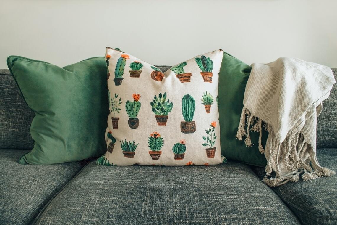 Cactus pillow