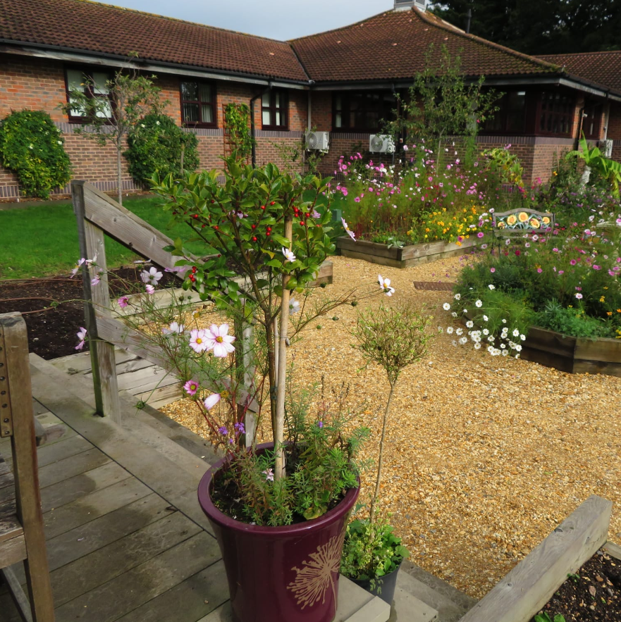 Healthy haven garden