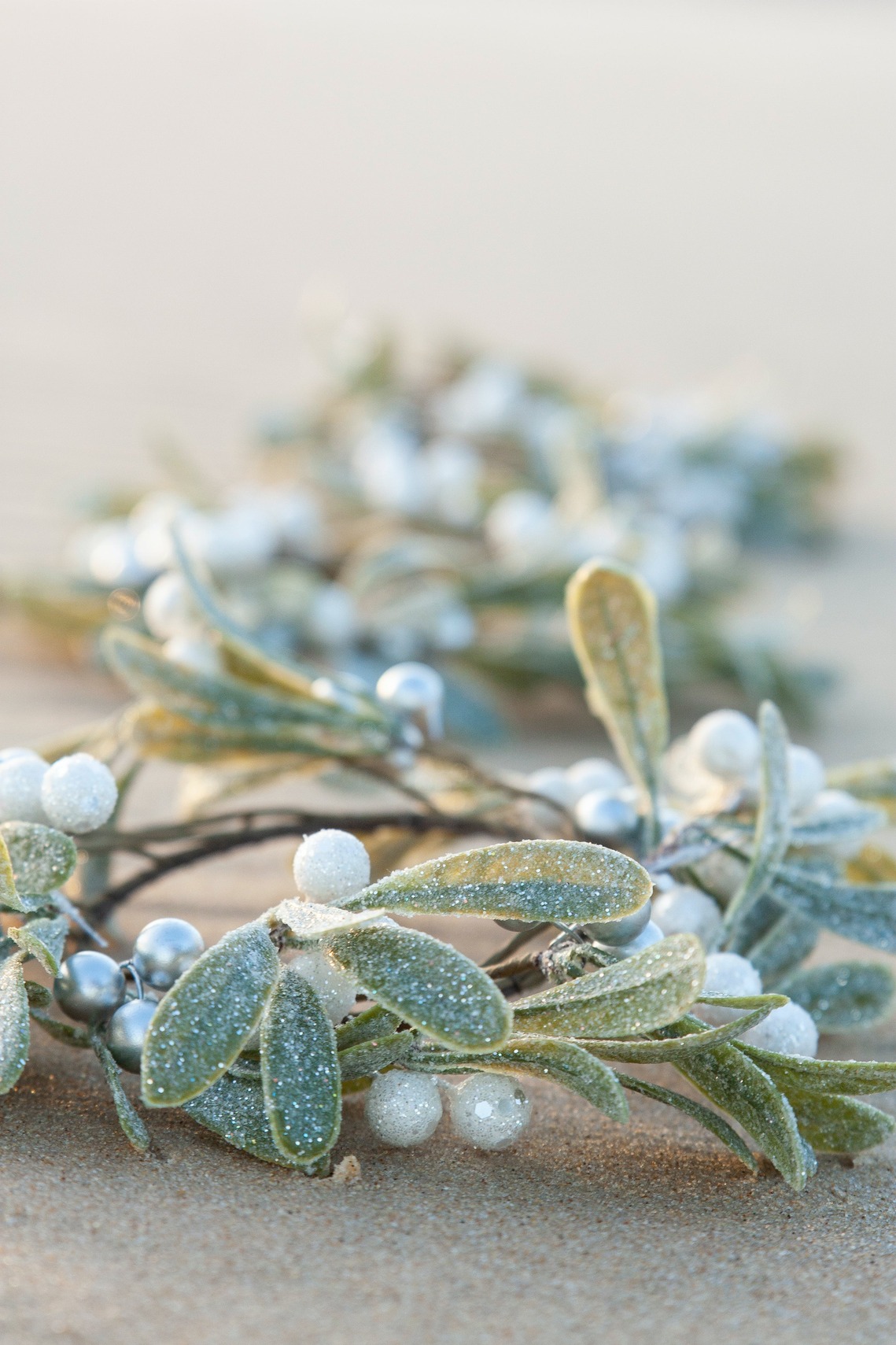 MIstletoe 
