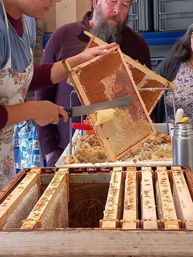 Honeycomb