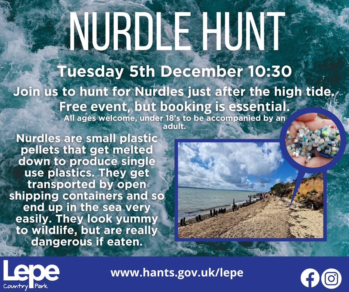 Poster advertising Nurdle Hunt