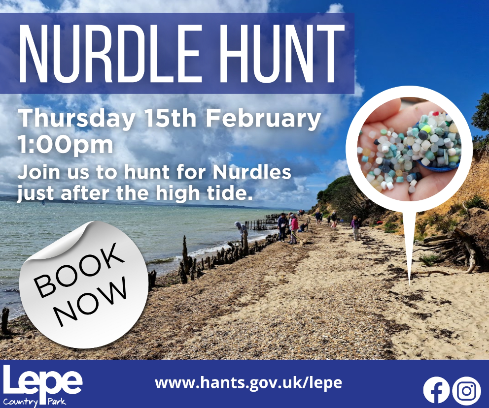 Lepe Beach advert for Nurdle Hunt