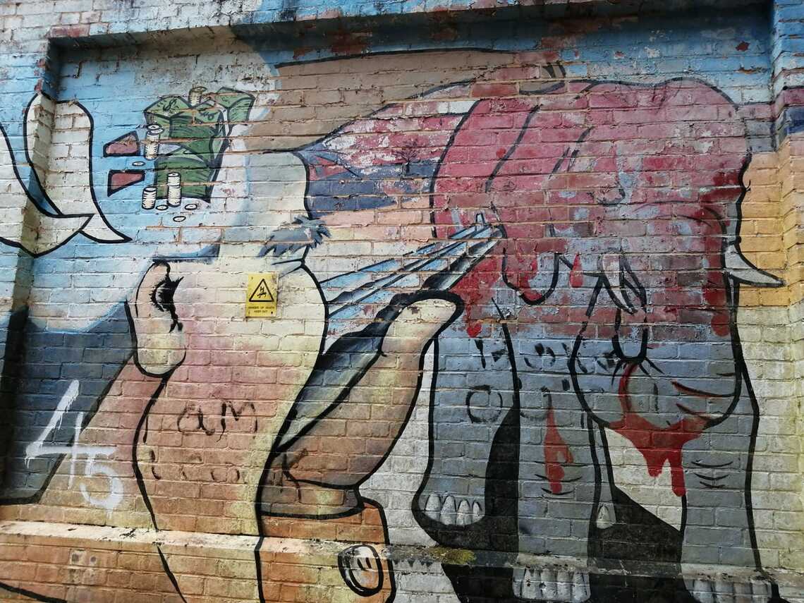 Greedy man shooting elephant