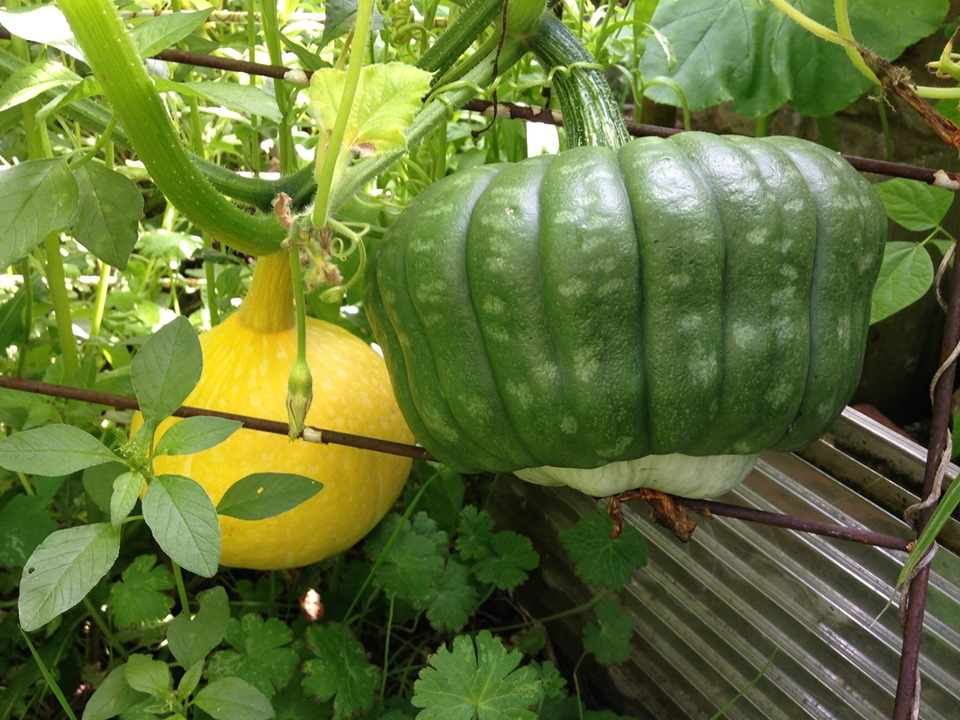 71333386_2430995127020219_2983460776892694528_n