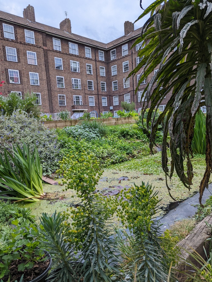 PXL_20220426_182252849