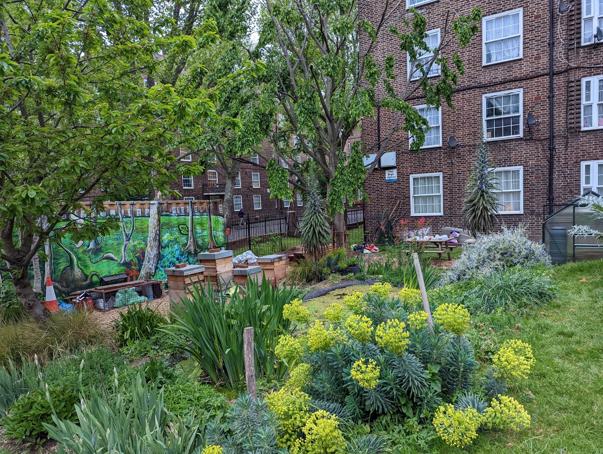 PXL_20220426_183619669