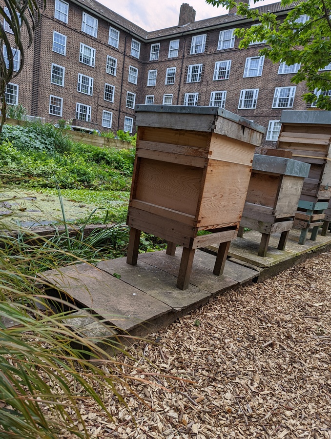 PXL_20220426_182236663