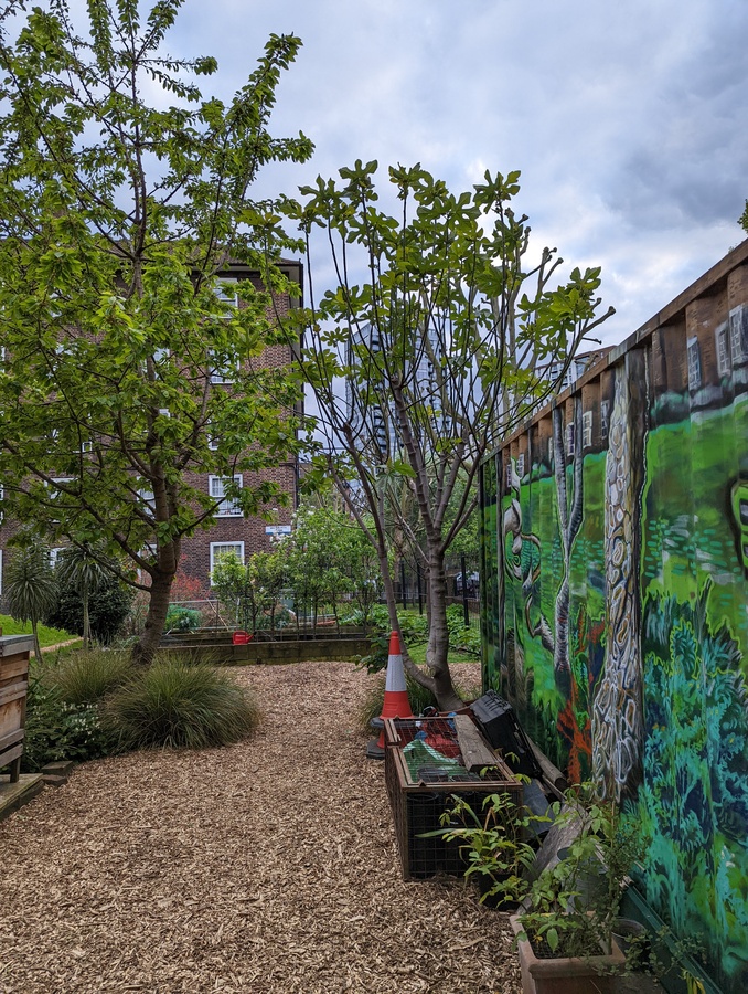 PXL_20220426_182337235