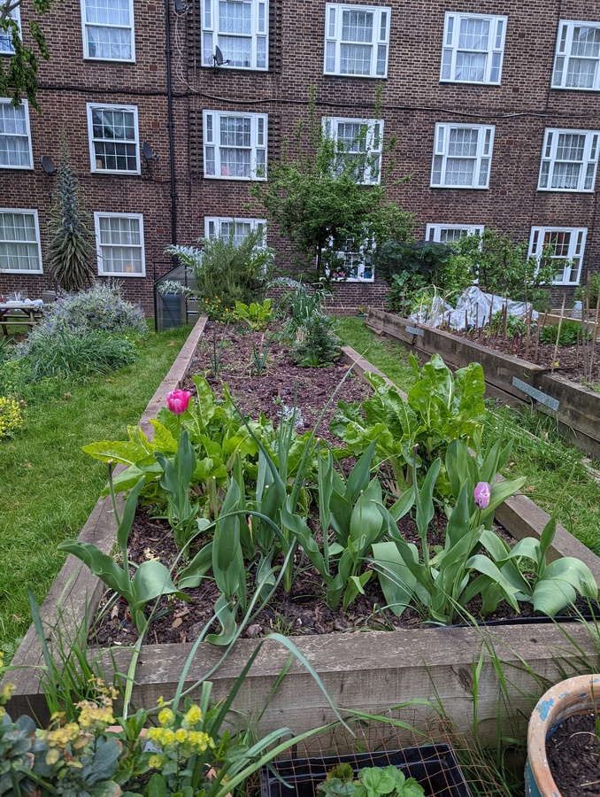 PXL_20220426_183622854