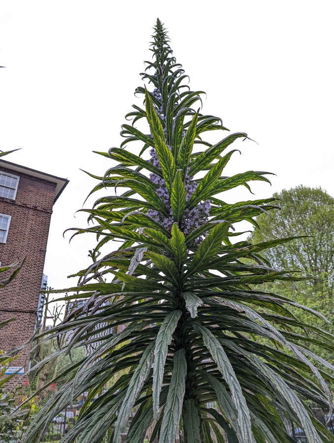 PXL_20220426_183655282