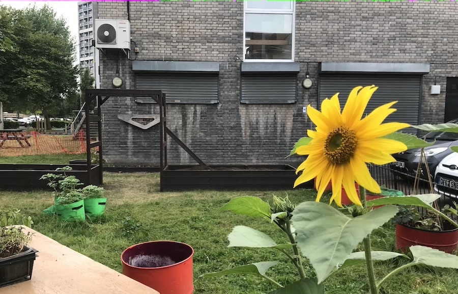 Junior-Gardening-Site-05