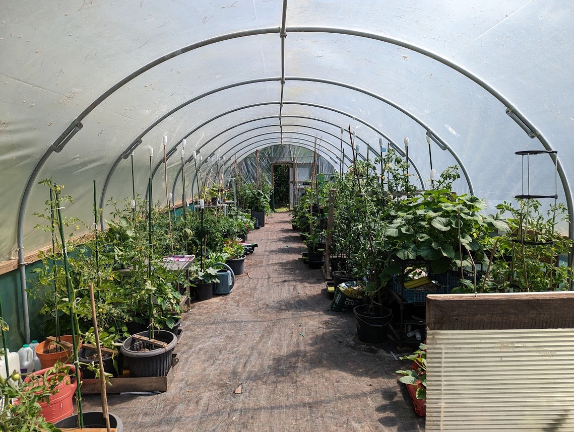 The interior of the polytunnel