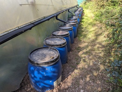 Polytunnel supply ( 44 water butts )