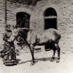 Mrs Buchan at the Langdon Court Stables 1881 Mrs Buchan at the Langdon Court Stables 1881