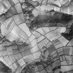 Knighton runs roughly east-west in the south. Half way along Knighton, Traine Road heads north, while Wembury Road curves off to the north from the eastern end of Knighton. North of the junction of Traine Road and Wembury Road, 1930s Hollacombe is visible as a straggle of buildings. The large wood is Hollacombe Brake.