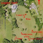 Location and types of tree planted