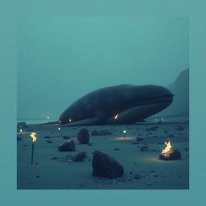 whaleonthebeach