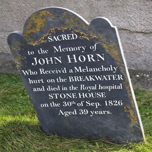 A Melancholy Hurt AI enhanced.jpeg