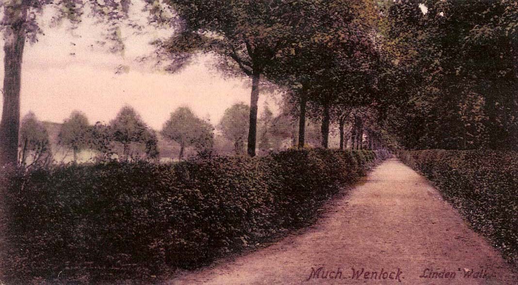 Linden Walk postcard image