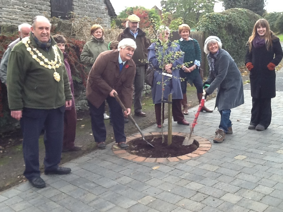 tree planting on Sheinton Rd corner 
