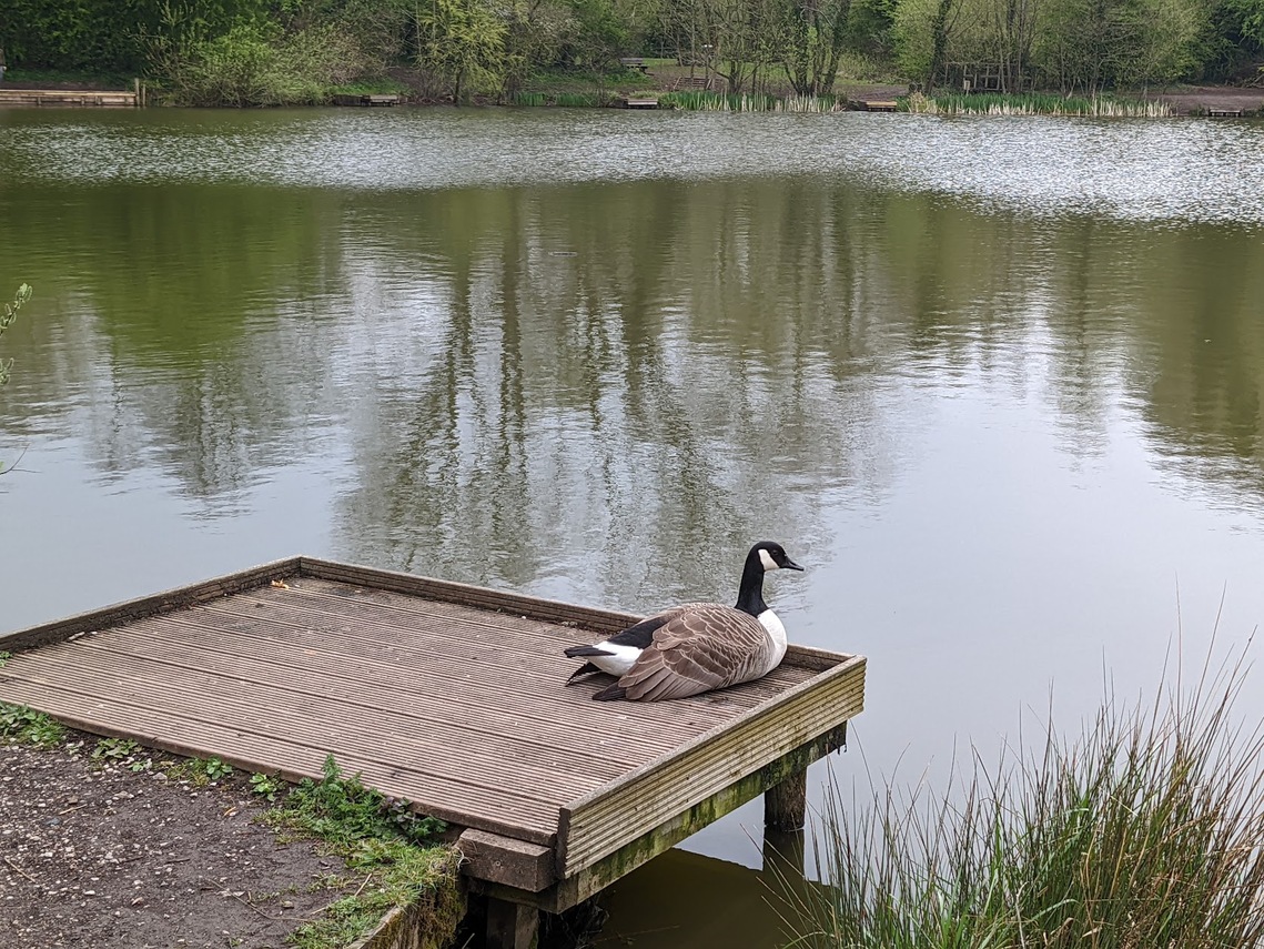 Burscough