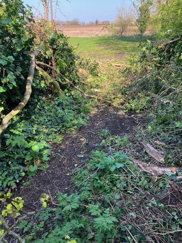 Carr Lane after