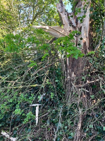 Carr Lane before