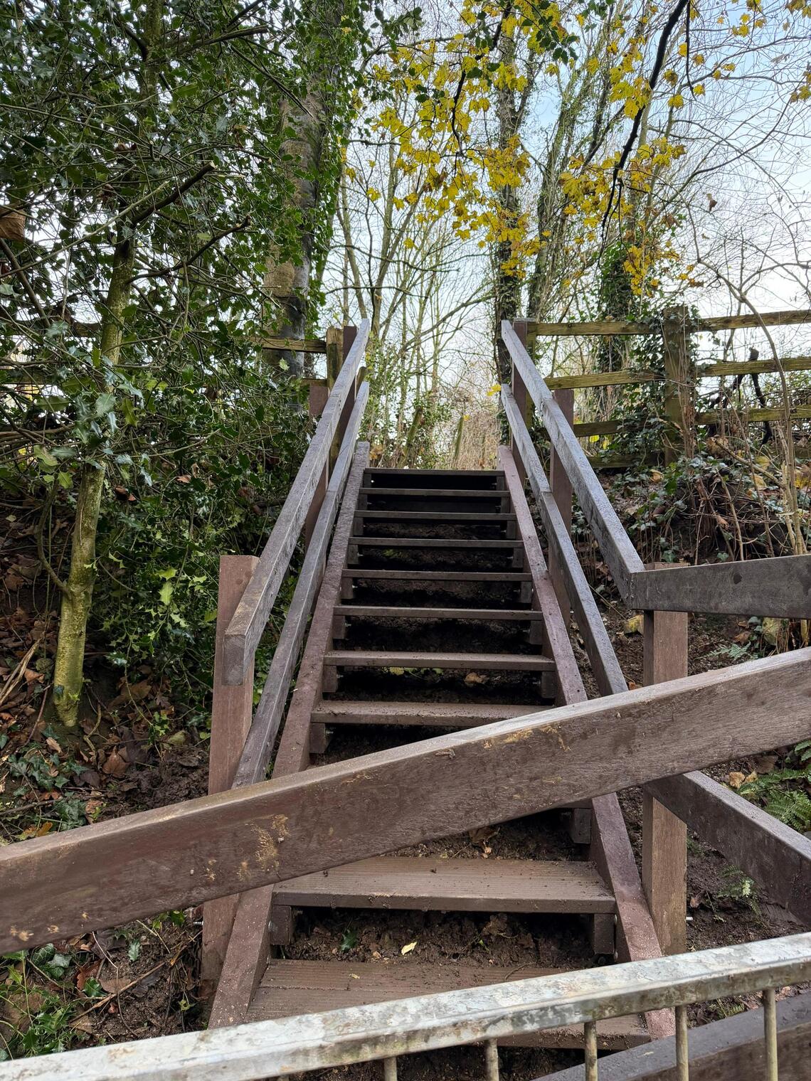 Dalton steps