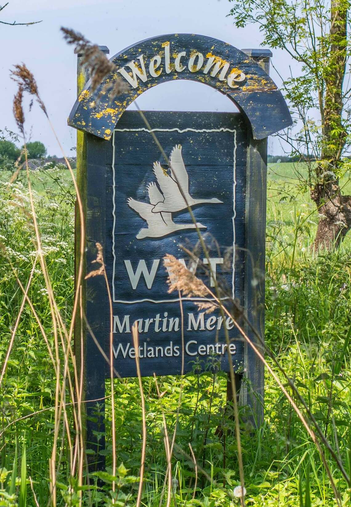 Martin Mere