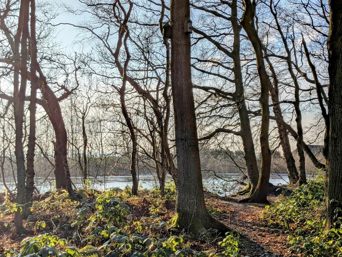 Mere Sands