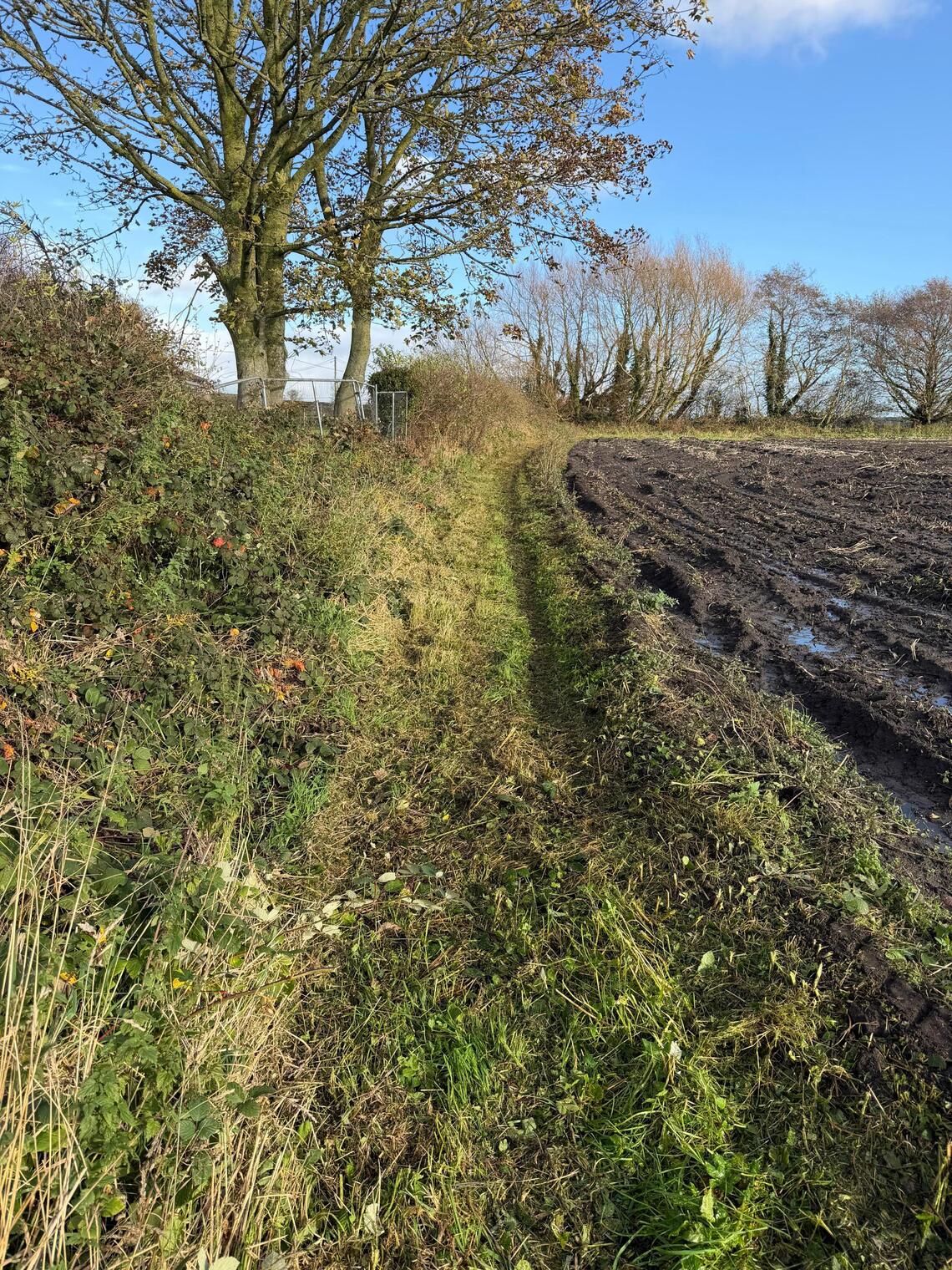 path