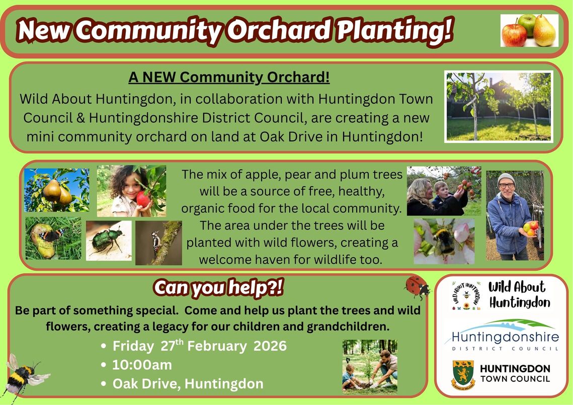 Orchard planting poster