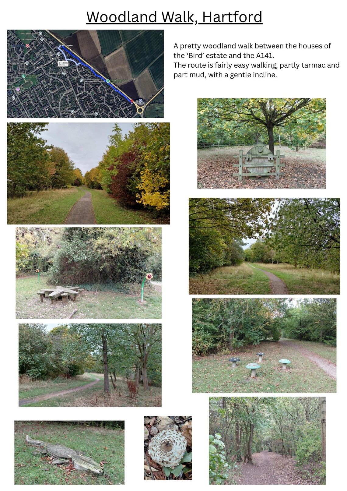 Walks Hartford Woodland Walk