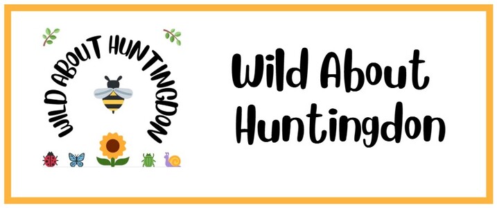 Wild About Huntingdon logo