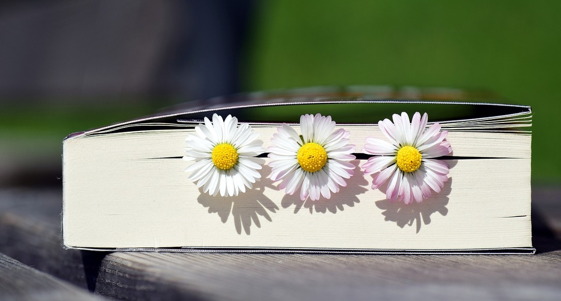 three daisies marking the page of a closed book