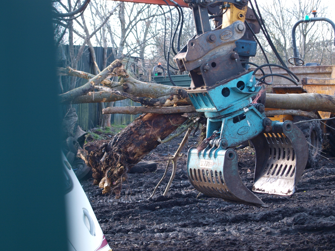 tree in the teeth of a digger about to be burned 