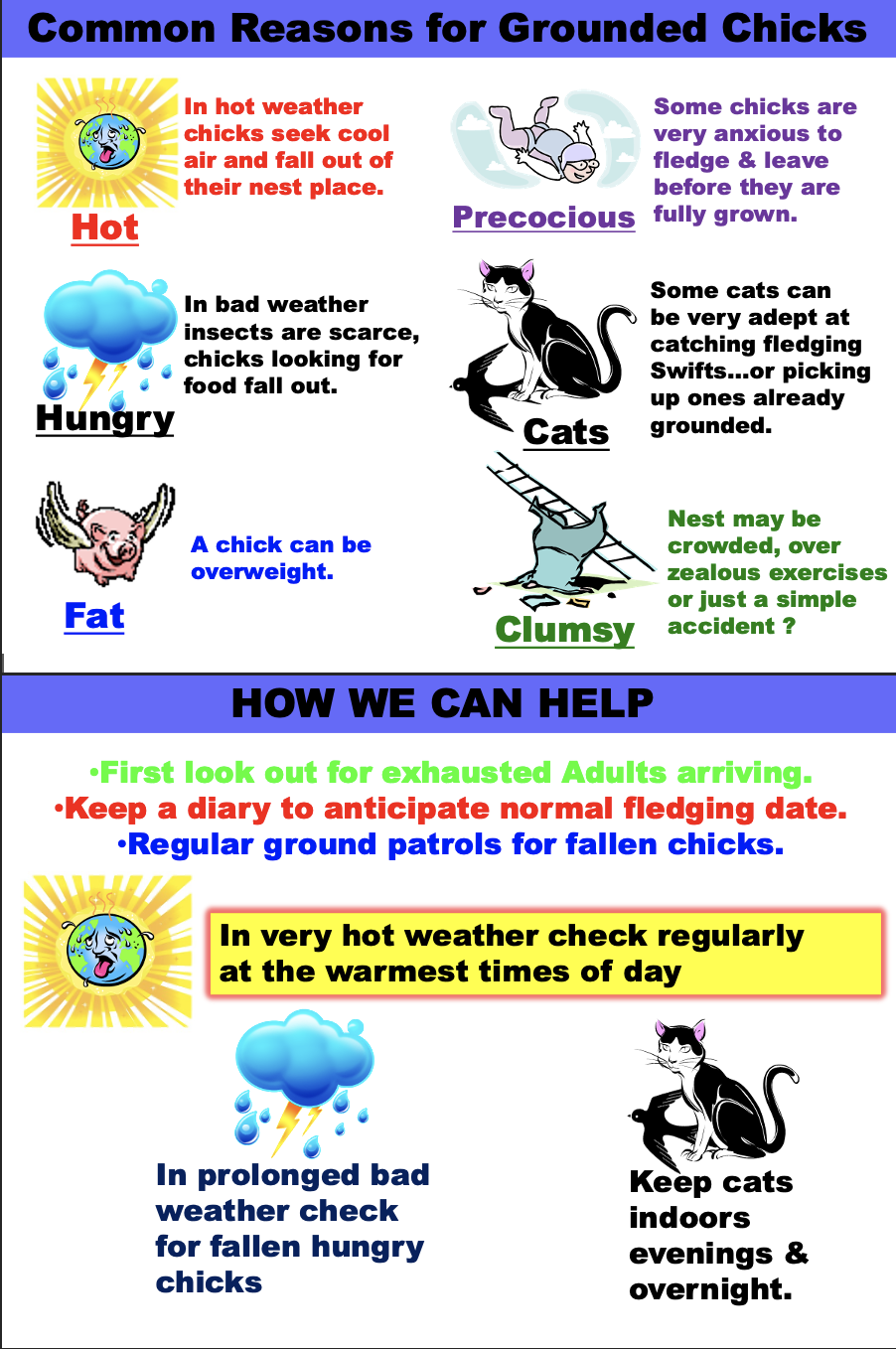 Various reasons as to why a Swift may be on the ground