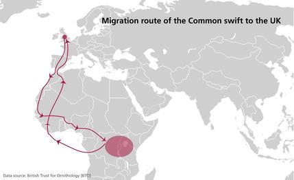 swift-migration-map
