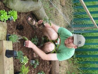 martin planting herbs 