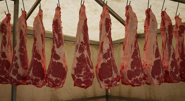 beef